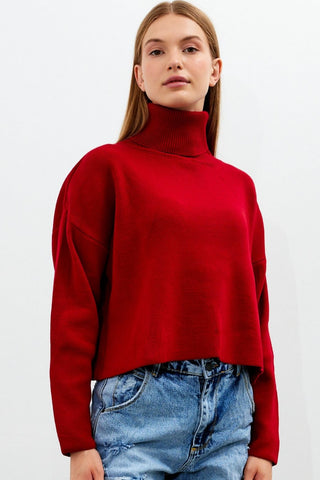 THE ESSENTIAL TURTLENECK SWEATER